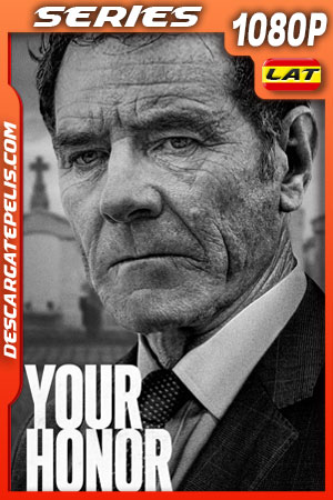 Your Honor (2020) Temporada 1 1080p WEB-DL Latino Your Honor (2020) Temporada 1 1080p WEB-DL Latino