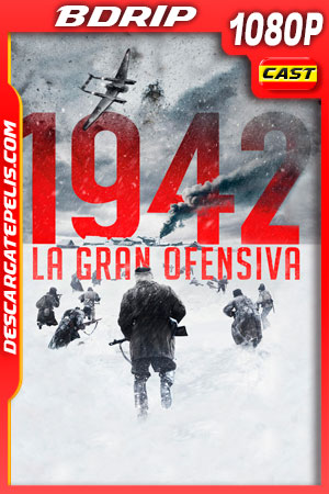 1942: La gran ofensiva (2019) 1080p BDRip 1942: La gran ofensiva (2019) 1080p BDRip