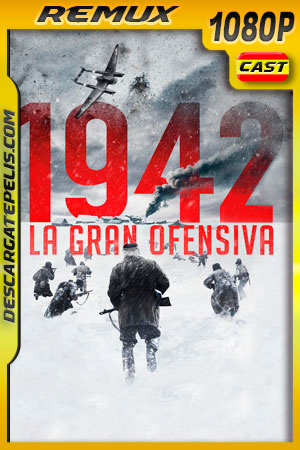 1942: La gran ofensiva (2019) 1080p Remux 1942: La gran ofensiva (2019) 1080p Remux