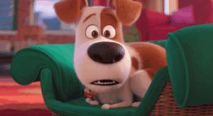 La vida secreta de tus mascotas