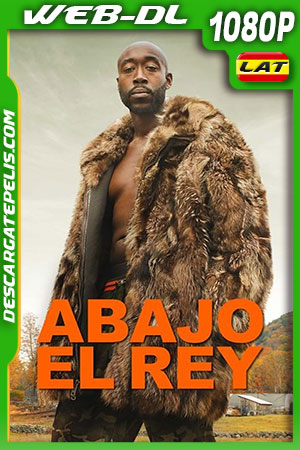 Abajo el Rey (2021) 1080p WEB-DL Latino Abajo el Rey (2021) 1080p WEB-DL Latino
