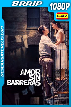 Amor sin barreras (2021) 1080p BRRip Latino Amor sin barreras (2021) 1080p BRRip Latino