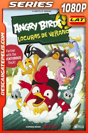 Angry Birds: Locuras de verano (2022) Temporada 1 1080p WEB-DL Latino Angry Birds: Locuras de verano (2022) Temporada 1 1080p WEB-DL Latino