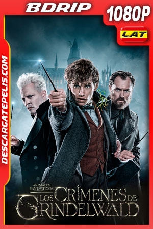 Animales fantásticos: Los crÃmenes de Grindelwald (2018) 1080p BDrip Latino Animales fantásticos: Los crÃmenes de Grindelwald (2018) 1080p BDrip Latino