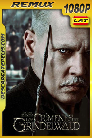 Animales fantásticos: Los crÃmenes de Grindelwald (2018) 1080p REMUX Latino Animales fantásticos: Los crÃmenes de Grindelwald (2018) 1080p REMUX Latino