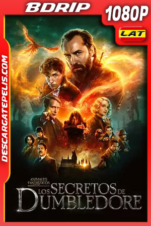 Animales fantásticos: Los secretos de Dumbledore (2022) 1080p BDRip Latino Animales fantásticos: Los secretos de Dumbledore (2022) 1080p BDRip Latino