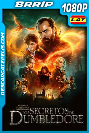 Animales fantásticos: Los secretos de Dumbledore (2022) 1080p BRRip Latino Animales fantásticos: Los secretos de Dumbledore (2022) 1080p BRRip Latino