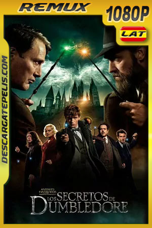 Animales fantásticos: Los secretos de Dumbledore (2022) 1080p Remux Latino Animales fantásticos: Los secretos de Dumbledore (2022) 1080p Remux Latino