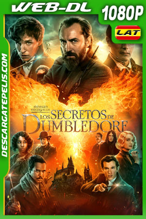 Animales fantásticos: Los secretos de Dumbledore (2022) 1080p WEB-DL Latino Ligero Animales fantásticos: Los secretos de Dumbledore (2022) 1080p WEB-DL Latino Ligero