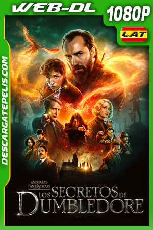 Animales fantásticos: Los secretos de Dumbledore (2022) 1080p WEB-DL Latino Animales fantásticos: Los secretos de Dumbledore (2022) 1080p WEB-DL Latino