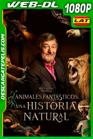 Animales Fantásticos: Una Historia Natural (2022) 1080p WEB-DL Latino Animales Fantásticos: Una Historia Natural (2022) 1080p WEB-DL Latino