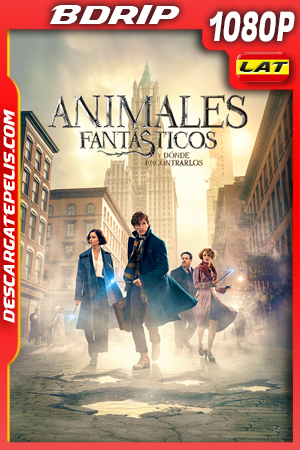 Animales fantásticos y dónde encontrarlos (2016) 1080p BDrip Latino Animales fantásticos y dónde encontrarlos (2016) 1080p BDrip Latino