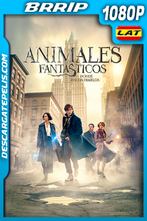 Animales fantásticos y dónde encontrarlos (2016) 1080p BRrip Latino Animales fantásticos y dónde encontrarlos (2016) 1080p BRrip Latino