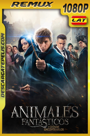 Animales fantásticos y dónde encontrarlos (2016) 1080p REMUX Latino Animales fantásticos y dónde encontrarlos (2016) 1080p REMUX Latino