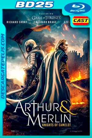 Arturo y Merlin: Caballeros de Camelot (2020) 1080p BD25 Castellano Arturo y Merlin: Caballeros de Camelot (2020) 1080p BD25 Castellano