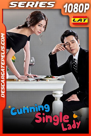 Astuta y Soltera Temporada 1 (2014) 1080p WEB-DL Latino Astuta y Soltera Temporada 1 (2014) 1080p WEB-DL Latino