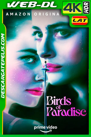 Aves del paraíso (2021) 4k WEB-DL HDR Latino Aves del paraíso (2021) 4k WEB-DL HDR Latino