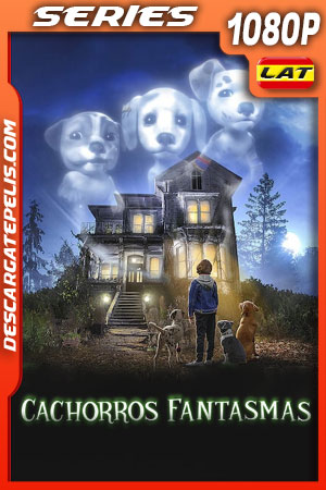 Cachorros fantasmas Temporada 1 (2022) 1080p WEB-DL Latino Cachorros fantasmas Temporada 1 (2022) 1080p WEB-DL Latino