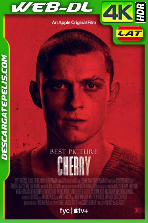 Cherry (2021) 4k WEB-DL HDR Latino Cherry (2021) 4k WEB-DL HDR Latino