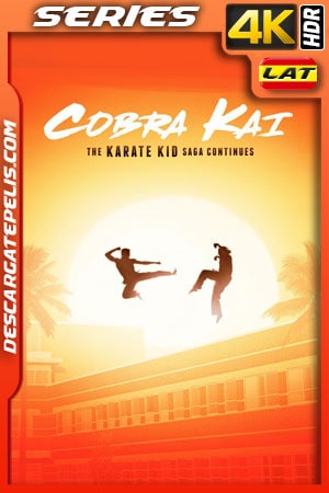 Cobra Kai (2018) Temporada 1 4k WEB-DL Latino Cobra Kai (2018) Temporada 1 4k WEB-DL Latino