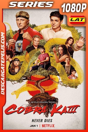 Cobra Kai (2021) Temporada 3 1080p WEB-DL Latino Cobra Kai (2021) Temporada 3 1080p WEB-DL Latino