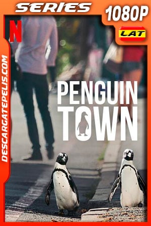 Colonia Pingüino (2021) Temporada 1 1080p WEB-DL Latino