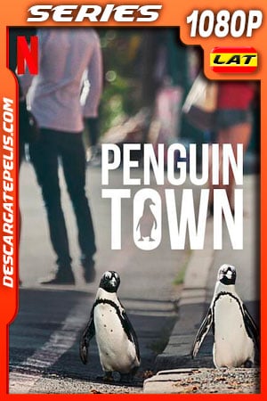 Colonia Pingüino (2021) Temporada 1 1080p WEB-DL Latino Colonia Pingüino (2021) Temporada 1 1080p WEB-DL Latino