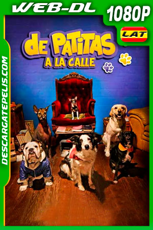 De patitas a la calle (2020) 1080p WEB-DL AMZN Latino De patitas a la calle (2020) 1080p WEB-DL AMZN Latino