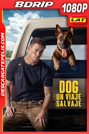 Dog: Un viaje salvaje (2022) 1080p BDrip Latino Dog: Un viaje salvaje (2022) 1080p BDrip Latino
