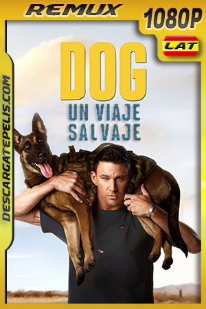 Dog: Un viaje salvaje (2022) 1080p Remux Latino Dog: Un viaje salvaje (2022) 1080p Remux Latino