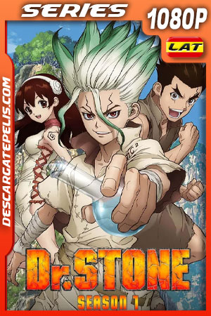 Dr. Stone Temporada 1 (2019) 1080p WEB-DL Latino Dr. Stone Temporada 1 (2019) 1080p WEB-DL Latino