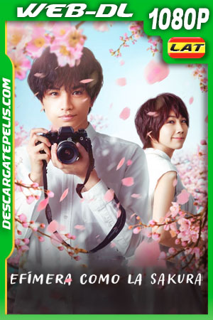Efímera como la sakura (2022) 1080p WEB-DL Latino Efímera como la sakura (2022) 1080p WEB-DL Latino