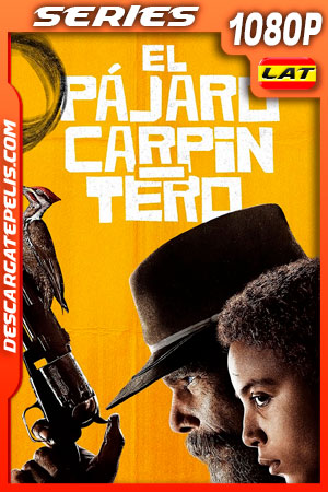 El pájaro carpintero (2020) Temporada 1 1080p WEB-DL Latino El pájaro carpintero (2020) Temporada 1 1080p WEB-DL Latino