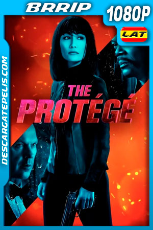 El Protegido (2021) 1080p BRrip Latino El Protegido (2021) 1080p BRrip Latino