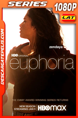 Euphoria (2022) Temporada 2 1080p WEB-DL Latino