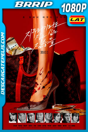 Golpe de suerte (2020) 1080p BRrip Latino Golpe de suerte (2020) 1080p BRrip Latino