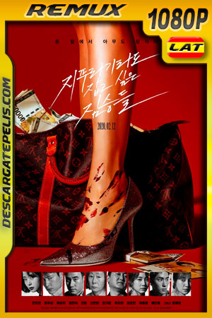 Golpe de suerte (2020) 1080p Remux Latino Golpe de suerte (2020) 1080p Remux Latino