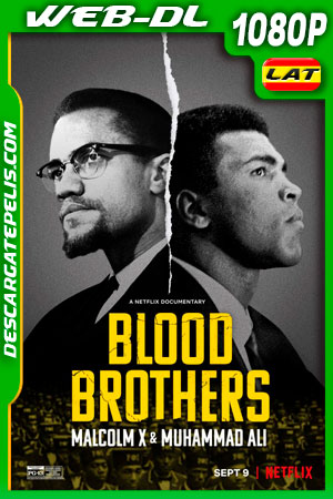 Hermanos de sangre: Malcolm X y Muhammad Ali (2021) 1080p WEB-DL Latino