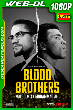 Hermanos de sangre: Malcolm X y Muhammad Ali (2021) 1080p WEB-DL Latino Hermanos de sangre: Malcolm X y Muhammad Ali (2021) 1080p WEB-DL Latino