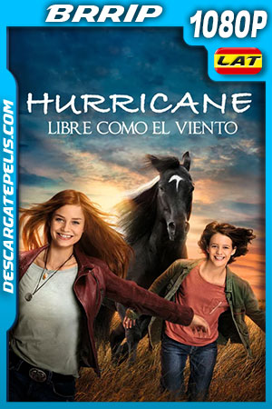 Hurricane – Libre como el Viento (2021) 1080p BRRip Latino Hurricane – Libre como el Viento (2021) 1080p BRRip Latino