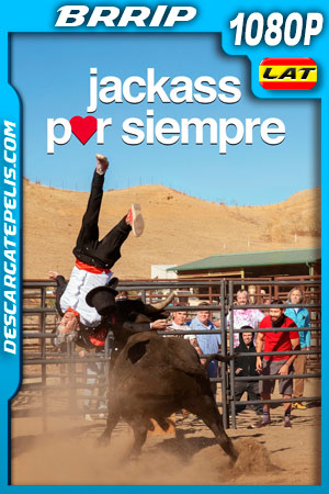 Jackass por siempre (2022) 1080p BRrip Latino Jackass por siempre (2022) 1080p BRrip Latino
