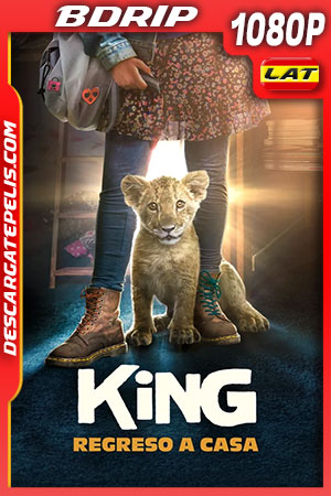 King: Regreso a casa (2022) 1080p BDRip Latino King: Regreso a casa (2022) 1080p BDRip Latino