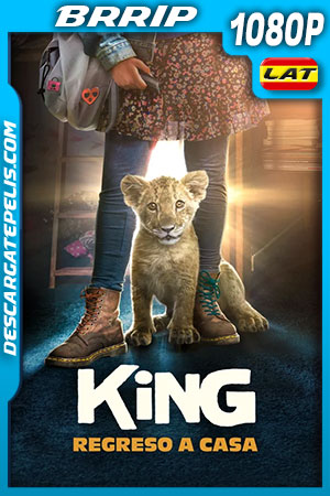 King: Regreso a casa (2022) 1080p BRRip Latino King: Regreso a casa (2022) 1080p BRRip Latino