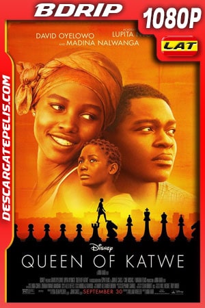 La reina de Katwe (2016) 1080p BDrip Latino La reina de Katwe (2016) 1080p BDrip Latino