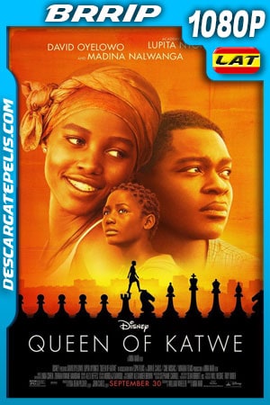 La reina de Katwe (2016) 1080p BRrip Latino La reina de Katwe (2016) 1080p BRrip Latino