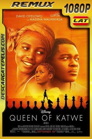 La reina de Katwe (2016) 1080p Remux Latino La reina de Katwe (2016) 1080p Remux Latino