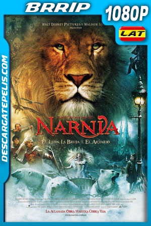Las Crónicas de Narnia: El león la bruja y el ropero (2005) 1080p BRrip Latino Las Crónicas de Narnia: El león la bruja y el ropero (2005) 1080p BRrip Latino