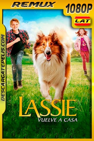Lassie Vuelve a Casa (2020) 1080p Remux Latino Lassie Vuelve a Casa (2020) 1080p Remux Latino