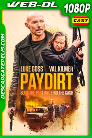 Más allá de la ley (2020) 1080p WEB-DL Más allá de la ley (2020) 1080p WEB-DL