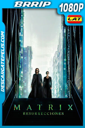 Matrix Resurrecciones (2021) 1080p BRRip Latino Matrix Resurrecciones (2021) 1080p BRRip Latino